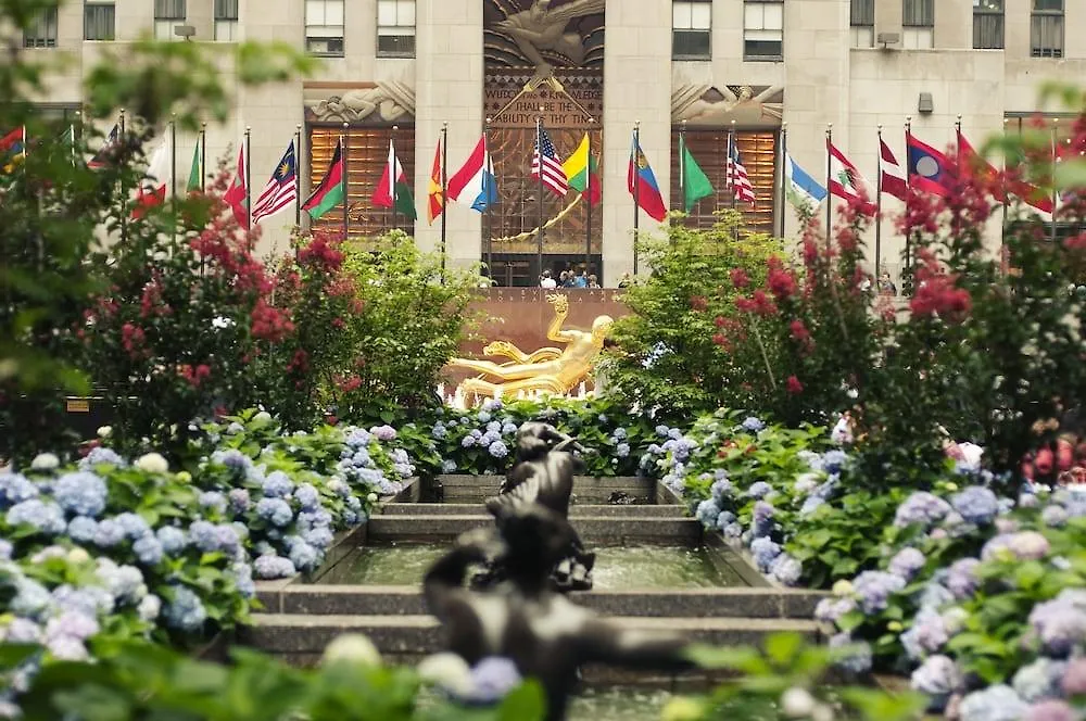 Cassa Hotel Ny 45Th Street New York